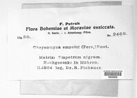 Image Associated With the Occurence